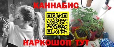 спайс Кингисепп