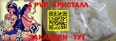 спайс Кингисепп