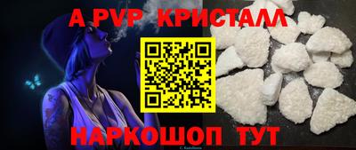 спайс Кингисепп